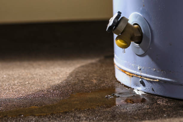 Best Water damage mitigation services  in New London, TX