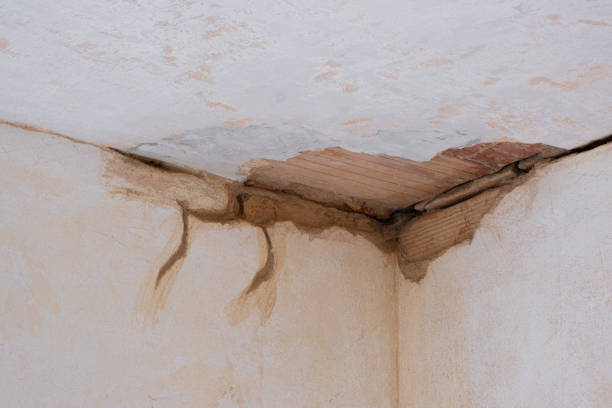 Best Water damage restoration near me  in New London, TX