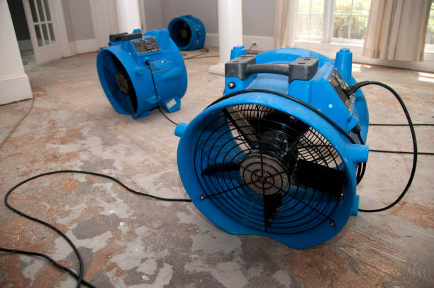 Best Fire Damage Restoration  in New London, TX