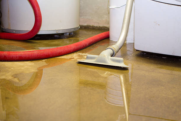 Best Flooded house restoration  in New London, TX