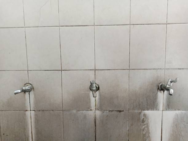 Best Fire Damage Restoration  in New London, TX