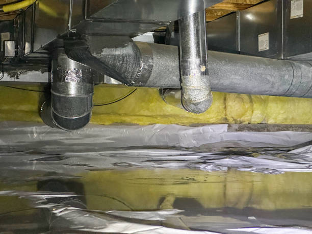 Best Professional water damage repair  in New London, TX