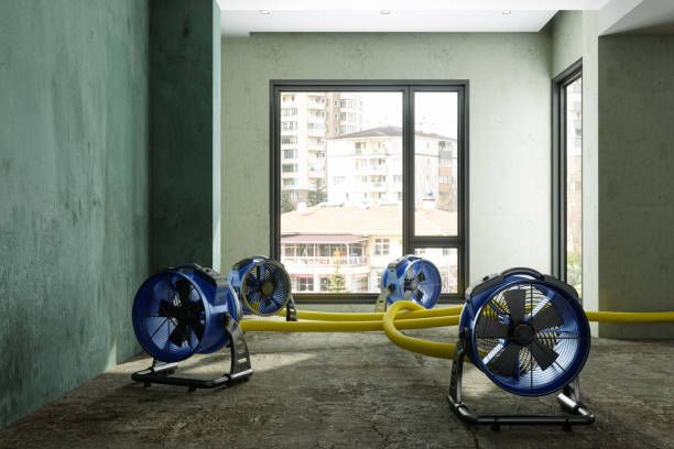 Water damage restoration process in New London, TX
